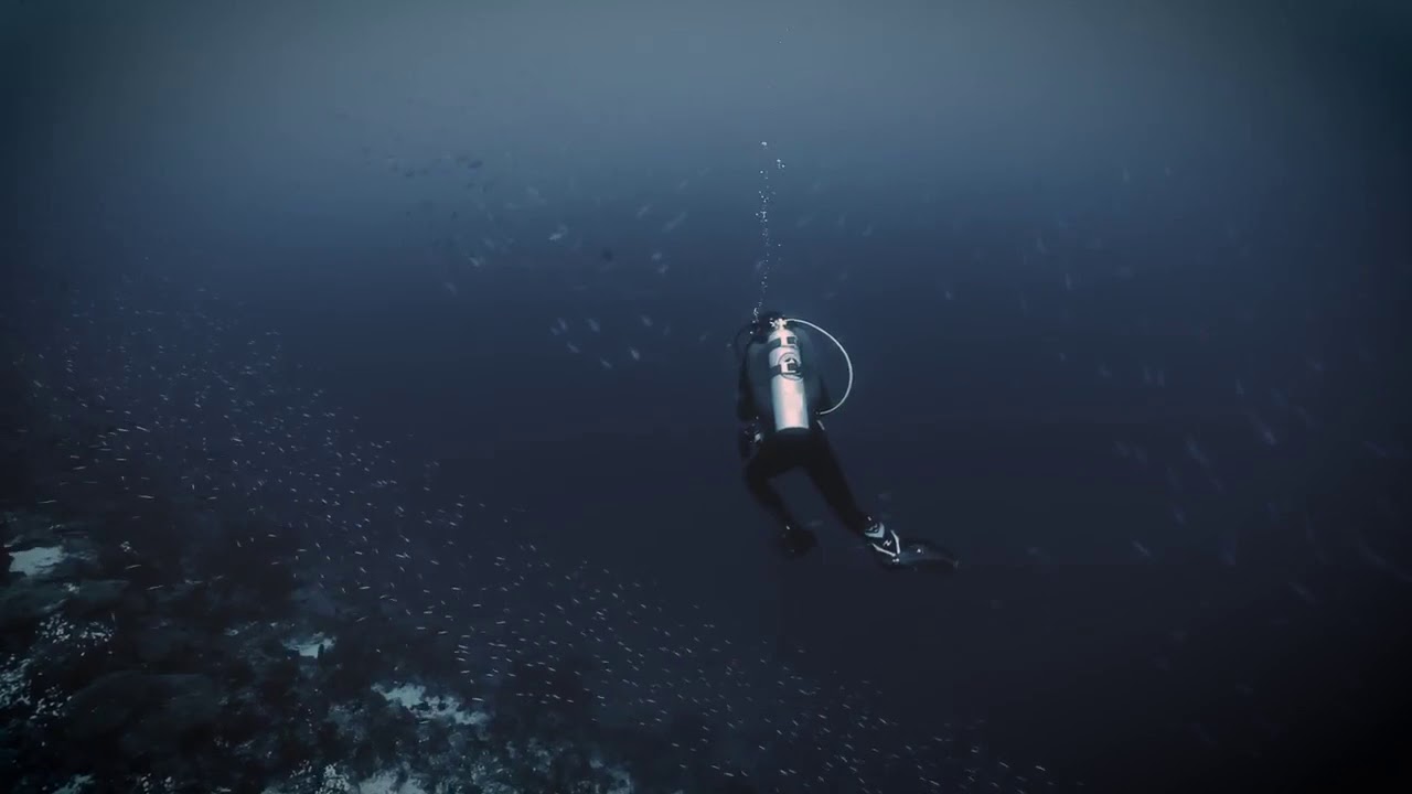 UW 360 Expedition to the BANDA SEA