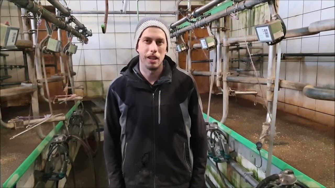 Kriechstrom und Eutergesundheit