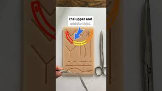 How to suture like a plastic surgeon! Part 2 Vertical Mattress