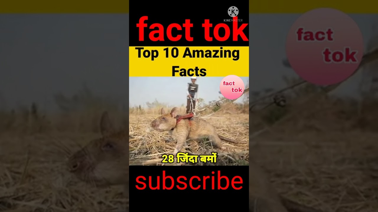 top10 Amazing fact 