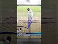 CLUELESS ☠️🗿 #cricket #sg #ipl #virarkohli