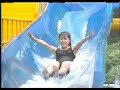 新田恵利