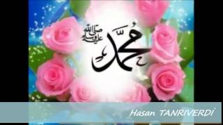 Adına Kurbanım Ya Resülallah - Hasan Tanrıverdi