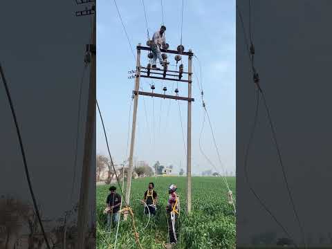 ਬਿਜਲੀ ⚡️ ਮਹਿਕਮਾ ☠️ #bijlikitaar #ਬਿਜਲੀ #pspcl #panjab