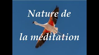 Nature de la méditation .Vidéo 3