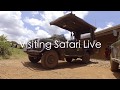 Safari Live Headquarters in the Maasai Mara