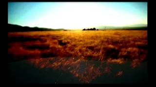 Kim Carnes - Bette Davis Eyes (Golden sunshine remix) chords