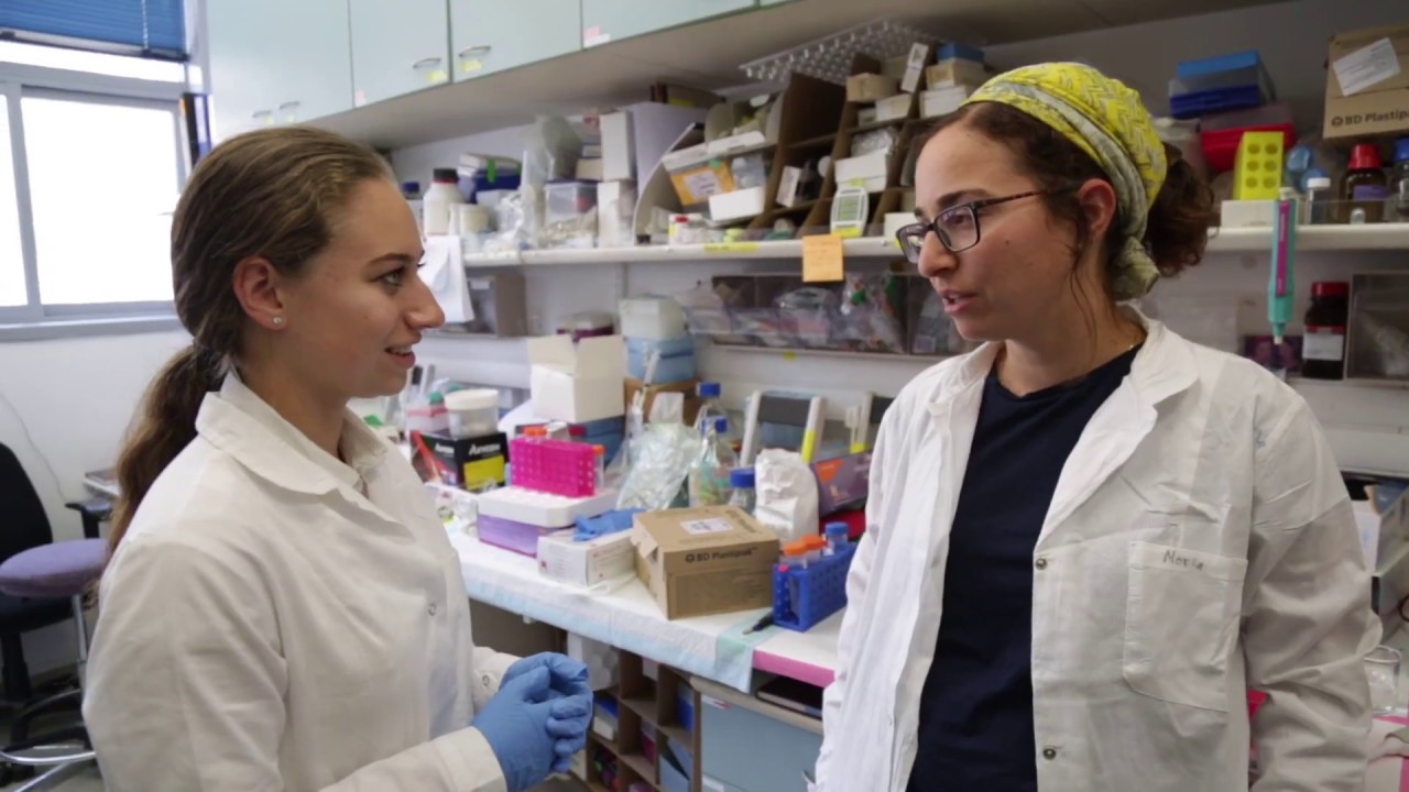Next Step Israel Internships YouTube