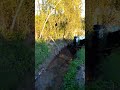 c était l endroit où passait le train