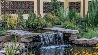 This week at Kikiyaya Zen Gardens Part 7
