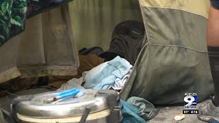 Lane County’s annual homeless count sees more sheltered, fewer unsheltered for 2024