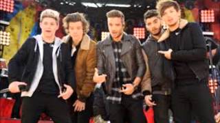 one direction little white lies audio