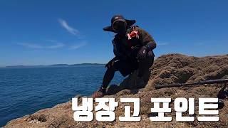 광어, 우럭이 들어 있었는데..?