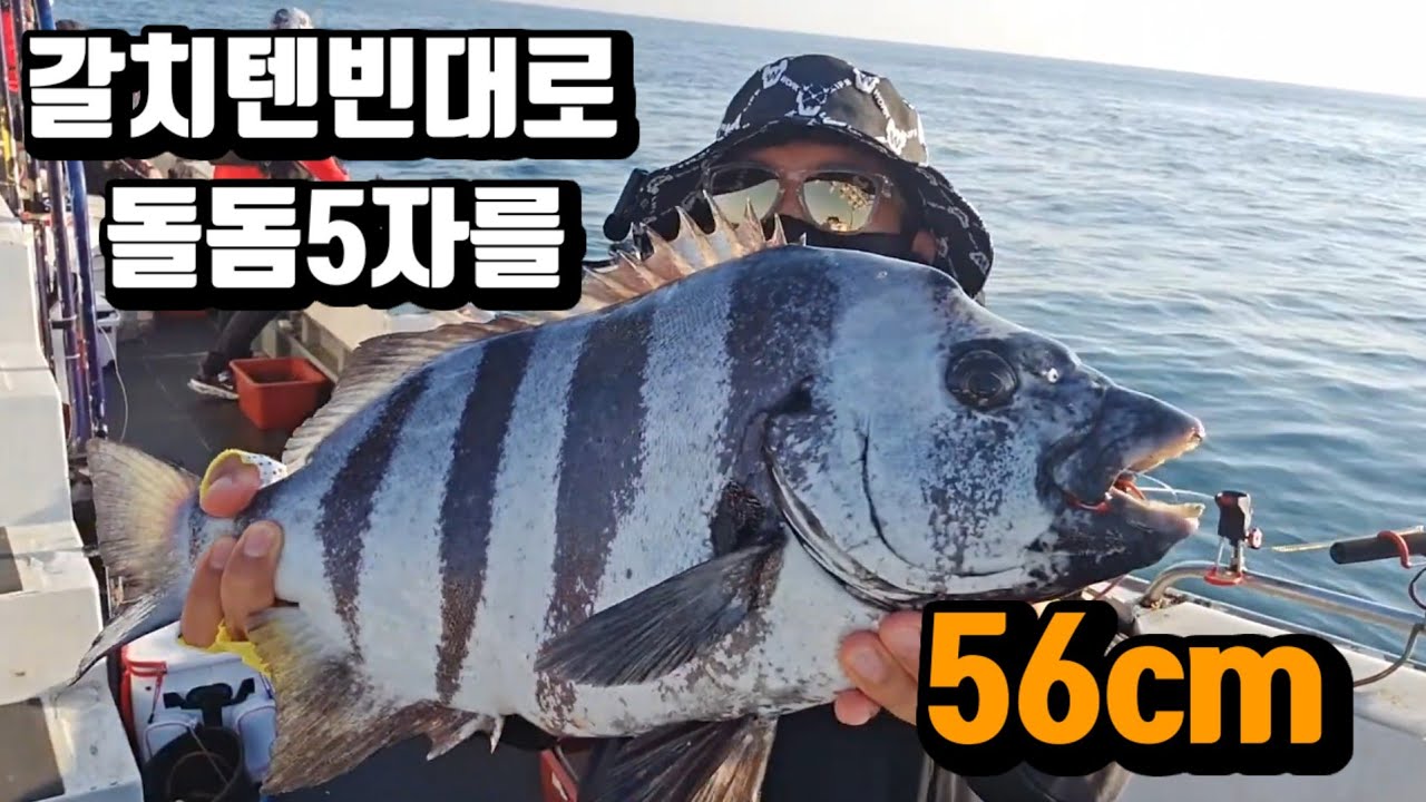 거제도 돌돔선상 털털이낚시대는 갈치텐빈대로가 딱입니다