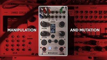 CV Manipulation Master: Shakmat Bishop