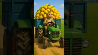 The Fat Girl And The Monkey Drink All The Mango Juice In The Summer ai tree mango monkey