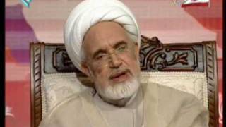 2009-05-24 - Mehdi Karroubi On Tv 23