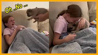 New Puppy Surprise Compilation 2026! The Best DOG Moments