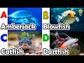 Sea animals for kids | ABC phonics animals | ABC Sea Animals song | English and Animals for Kids