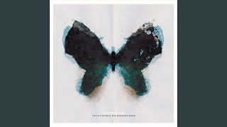 Cotton Crush - Kevin Devine