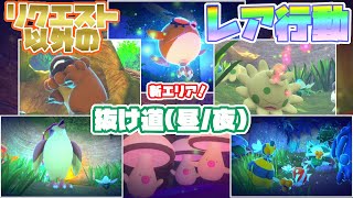 【Newポケモンスナップ】リクエストでは見れないレア行動紹介〔抜け道(昼・夜)編〕アプデ後新エリア!!【ポケスナ】※不具合修正版 【Newポケモンスナップ】リクエストでは見れないレア行動紹介〔抜け道(昼・夜)編〕アプデ後新エリア!!【ポケスナ】※不具合修正版