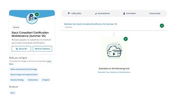 Slack Consultant Certification Maintenance (Summer 