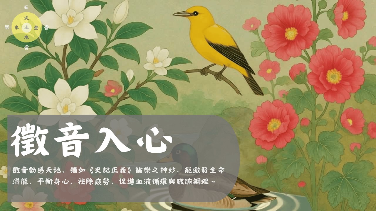 徵音入心  - 徵音動感天地，猶如《史記正義》論樂之神妙~  静心,安神,舒缓,养生,疗愈,缓解焦虑,五行,Healing,入心,调心,安心,调脾,消化,Asian Relaxing