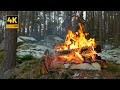 4K 📺 Natural Forest Fireplace 🔥Soothing Sounds of Fire & Sleep Better