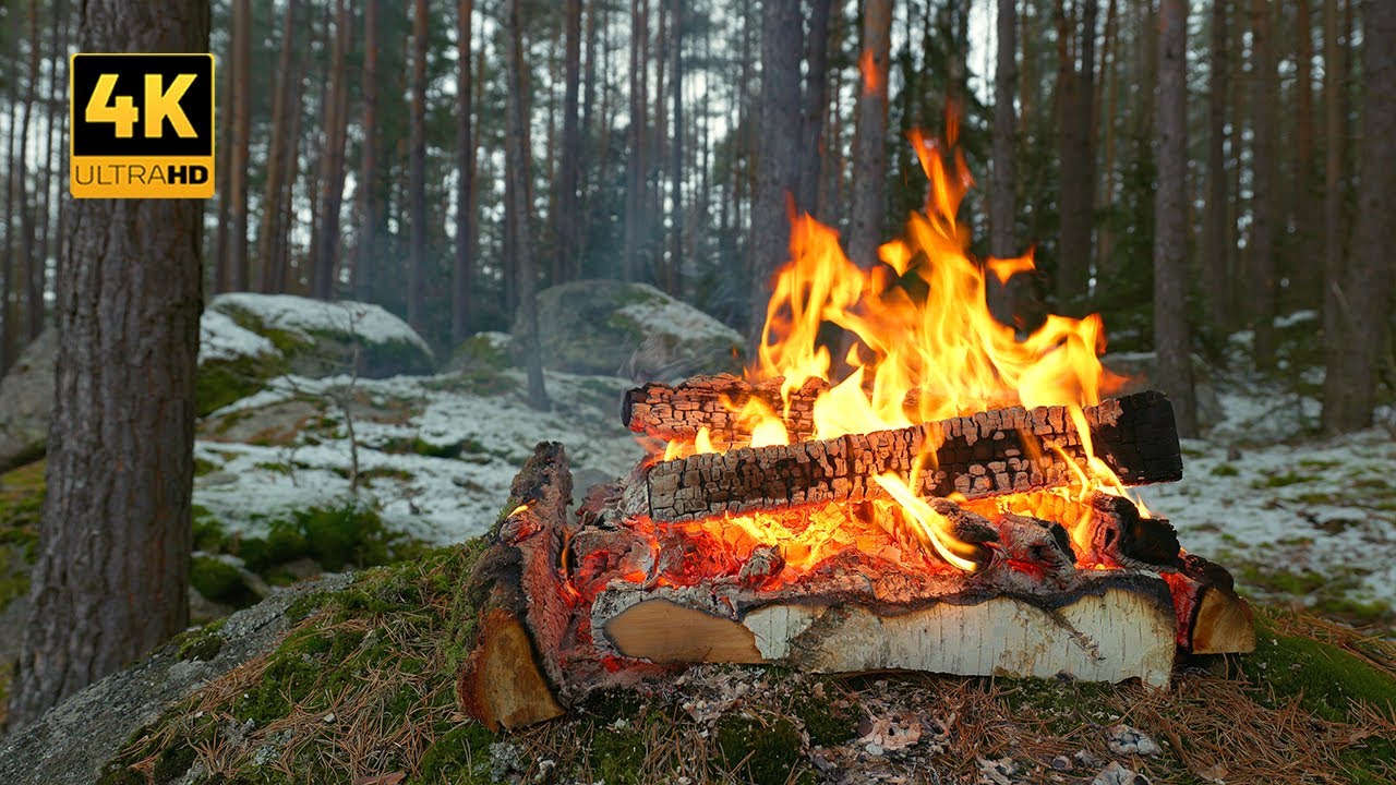 4K 📺 Натуральный лесной камин 🔥Успокаивающие звуки огня и лучший сон