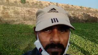 rahul Phogat ki