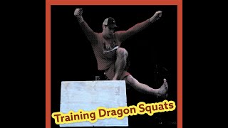 Beginner Dragon Squat Variation w/ Plyo Box