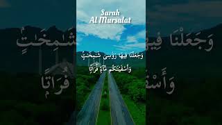 🕌 surah al-mursalat | quran tilawat for reflection #quran #recitation #trending #reels #beautiful