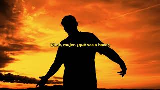 Danimflow - Persona Ideal Visualizer