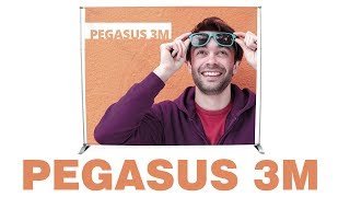 Pegasus 3m