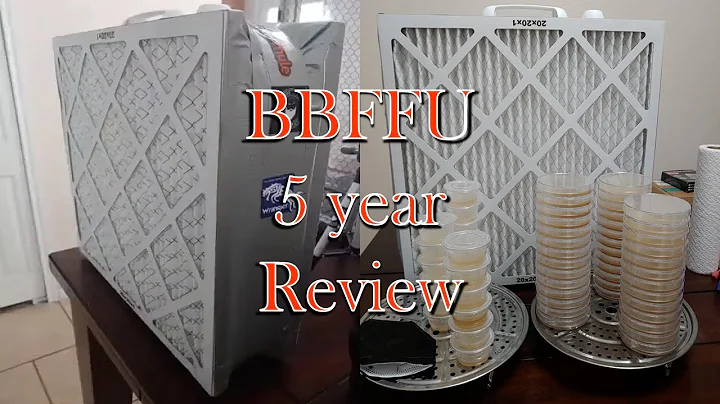 BBFFU (Broke Boi Fan Filter Unit) 5yr Review  #mushroomgrowing #BBFFU #FFU #airpurification