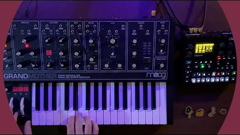 Golden - Moog Grandmother and Elektron Digitone