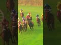 🏇🔥 Mumbai Live Race – Today Oh my goodness… 🤯What a finish!🤯#horse #race #sports #mumbai #livestream