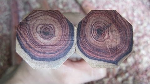 Côn nhị khúc | Gỗ trắc dây | Đầu nhỏ đuôi to | 8 cạnh | Dây dù | Kanshop.vn