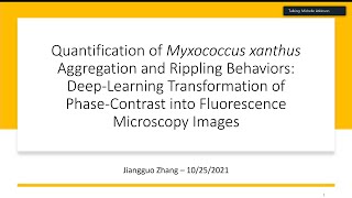 Technical Presentation: Quantification of Myxococcus Xanthus Aggregation and Rippling Behaviors ...