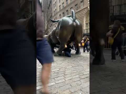 Wall Street Bull Wallstreet Financialdistrictnyc Timelapse Travel Fidi Manhattanneighborhood