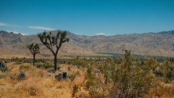 Ben Harper - "Joshua Tree" (Band Version)
