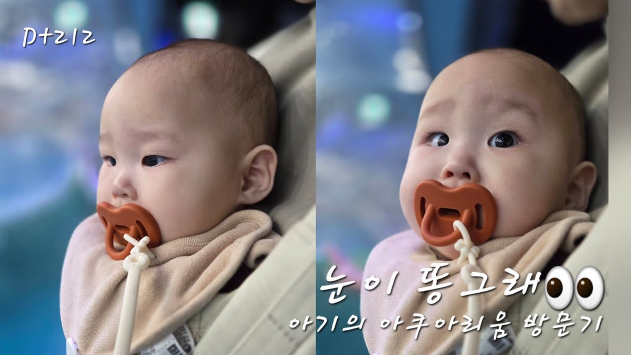 아기랑 실내 데이트🩷롯데 아쿠아리움 브이로그