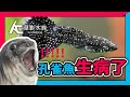 【養魚醫生】我的孔雀魚到底生什麼病？帶你了解孔雀魚6種疾病｜AC草影水族