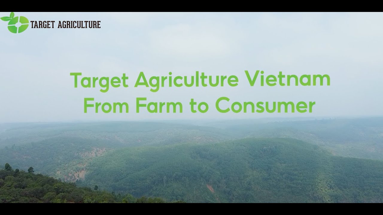 Vietnam Organic Cashew - From Farm to Consumer