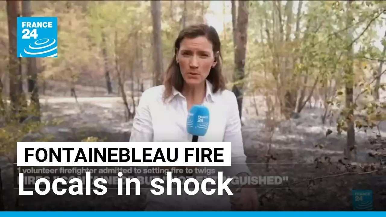 Shock and solidarity after wildfires ravage Fontainebleau • FRANCE 24 English