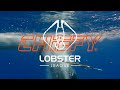 The chiefy snare by lobster league  the ultimate lobster catching tool