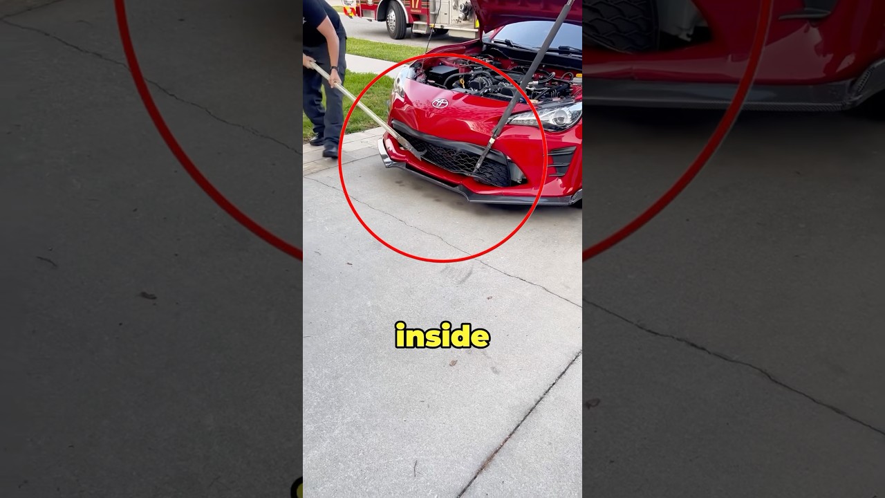 Animal Rescued From Car