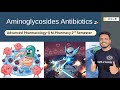 Aminoglycosides Antibiotics | Aminoglycosides Mechanism of Action | Aminoglycosides M Pharmacy