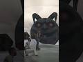 Franklin Stuck In Tiny City 🤯 In INDIAN BIKE DRIVING 3D #shorts #ytshorts