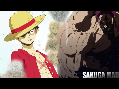 【MAD】One Piece Sakuga Scenes